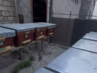Arıçılıq üçün taxta arı yeşikləri (pətəklər). İçində 6 ay arı — photo 3
