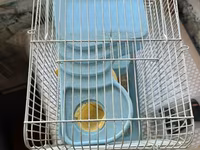 Hamster və balaca gəmiricilər üçün qəfəs - Rəng: açıq mavi plastik — фото 3