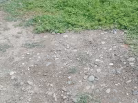 براهما — الصورة 4