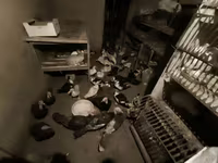 Turkeys — الصورة 3