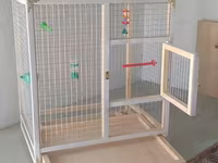 Papuqay,dovşan,hamster,şinşila,bildirçin,cücə,xamyak,pişik,quş,tısbağa — 照片 3