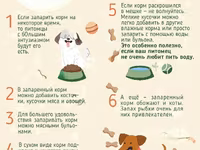 Корм для собак экструдированный — Foto 2