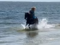 Кобила, Quarter Horse — фото 6