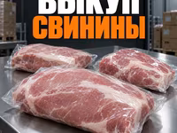 Свинину оптом, некондицию и остатки — фото 1