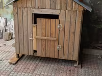 Taxta it evi / dam - Material: təbii taxta lövhələr, möhkəm karkas - — الصورة 1
