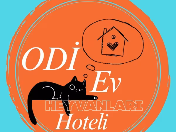 🤍Sizin evinizdəki rahatlıq, bizim "Odi Pet Home Hotel"-də! 🐾✨