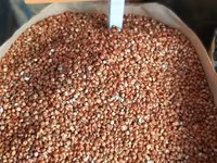 Vind sorgo. mei. raps — الصورة 2