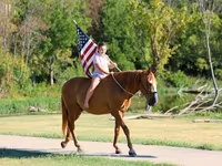 حصان, Quarter Horse — الصورة 7