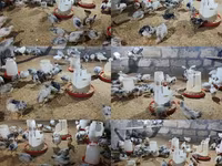 Chickens — Foto 1