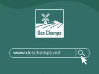 Бензиновый двигатель Ducar (7 л.с.) — फ़ोटो 2