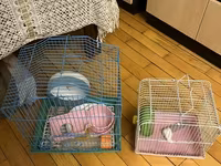 Hamster və ya kiçik gəmiricilər üçün iki ədəd qəfəs komplekti Mavi — 2-сурет