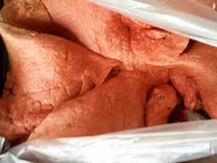 Субпродукты говяжьи — фото 3