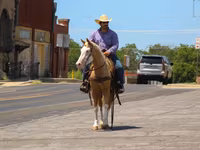 حصان, Palomino — الصورة 8