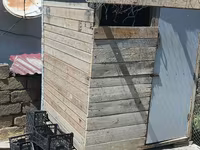Taxta göyərçinxana – hazır konstruksiya Məhsul təsviri: - Tam — фото 4