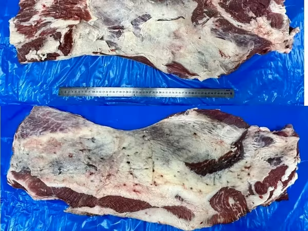 Brisket, грудинка, грудной отруб говяжий