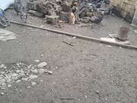 Turkeys — الصورة 2