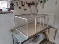 Papuqay,dovşan,hamster,şinşila,bildirçin,cücə,xamyak,pişik,quş,tısbağa — फ़ोटो 3