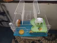 Hamster üçün tam dəst qəfəs uzunluqu 55 sm hündürlük 45 sm eni 30 sm — الصورة 2