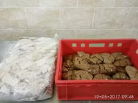 Почки говяжьи — الصورة 1