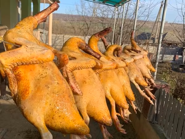 Кагул- Продаются немые утки на мясо врезанном виде.150 лей кг.В живом виде по 130 лей кг