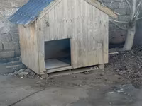 Taxta it evi - Material: qalın taxta karkas, üzəri taxta lövhələr - — foto 2