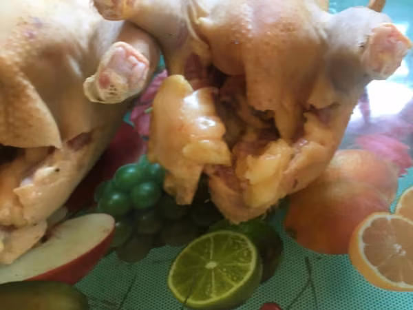 Taiem Cucos de casa la comanda