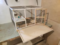 Papuqay,dovşan,hamster,şinşila,bildirçin,cücə,xamyak,pişik,quş,tısbağa — 4-сурет