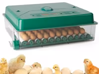 Incubator De Oua Des Champs Eco Profi C-70 — फ़ोटो 3