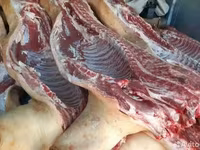 Свинина на кости пиленая  охл/зам — الصورة 3