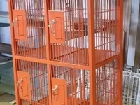 Metaldan 9 bölməli şkaf tipli qəfəs - Təyinat: pet-shop, baytarlıq — 1-rasm