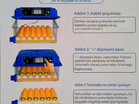 Tam avtomatik inkubator / su və yem qabı daxil./Göy-1əd.yaşıl 1əd — फ़ोटो 4