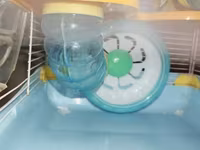 Dəbilqəli hamster üçün çoxmərtəbəli qəfəs dəsti - Rənglər: açıq mavi — 3-rasm