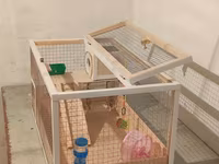 Hamster/kiçik gəmirici üçün geniş taxta — Foto 3