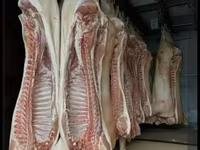 СВИНИНА ОПТОМ В ПОЛУТУШАХ - Прямая поставка свежей продукции. - — фото 3