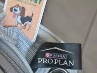 Proplan firmasi pisik cantasi yenidi — foto 4