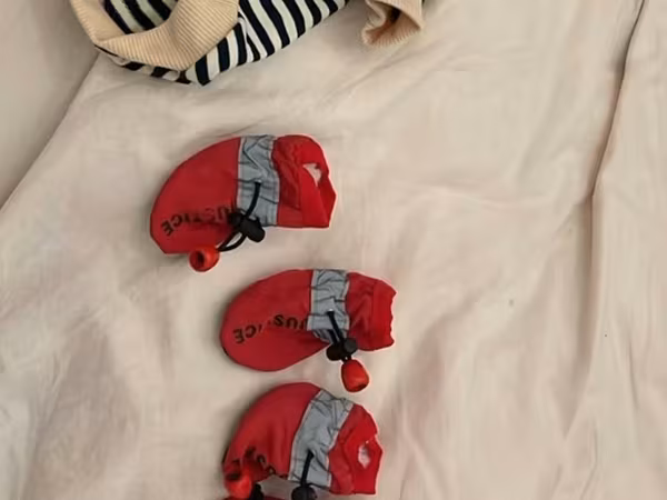 Məhsul: İt üçün geyim dəsti Tərkib: - Cızğılı kapüşonlu sviter/jemper