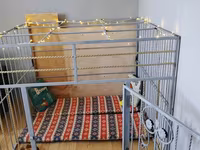 Metaldan geniş ev tipi it qəfəsi / playpen - Material: qalın metal — Foto 1