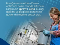 Sprayfo Delta buzov süd əvəzedicisi buzovların sağlam inkişafı və — الصورة 4