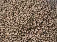 İtlər və Pşiklər üçün Tam təbii yemlər kimyəvi qatqısız Tərkibində GMO — photo 3