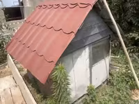 İt evi – taxta konstruksiya, iki girişli - Material: qalın taxta — photo 3