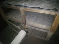 Продам клетки для кроликов — Foto 2