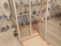 Papuqay,dovşan,hamster,şinşila,bildirçin,cücə,xamyak,pişik,quş,tısbağa — photo 3
