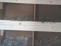 Super möhkemdir 14 16 qusluqdur qiymet 30 a yendi unvan xirdalan bir — 3-сурет