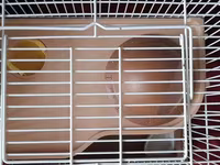 Hamster qəfəsi və aksesuar dəsti - Kiçik gəmiricilər üçün iki — 照片 4
