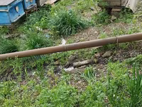 Arıçılıq üçün pətək və inventar dəsti 13 yeşik arıdı maraqlanmaq — Foto 1