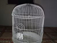 Ağ rəngli dairəvi quş qəfəsi - Material: metal telli korpus, plastik — foto 1