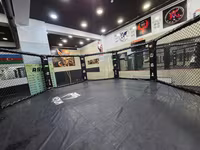 MMA məşq və yarışları üçün peşəkar oktagon qəfəs - Forma — Foto 2