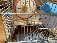 Hamster üçün tam dəst 2 mərtəbə qəfəs - Metall karkaslı, çıxarılan — फ़ोटो 4