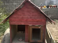 İt evi – taxta konstruksiya, iki girişli - Material: qalın taxta — photo 1