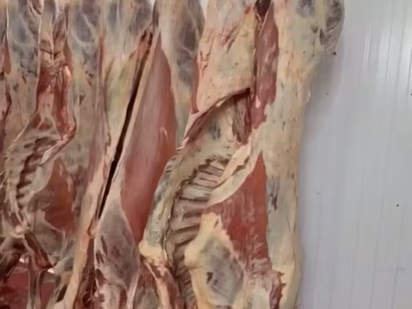 Молодняк, коровы1,2 кат. полутуши охл.